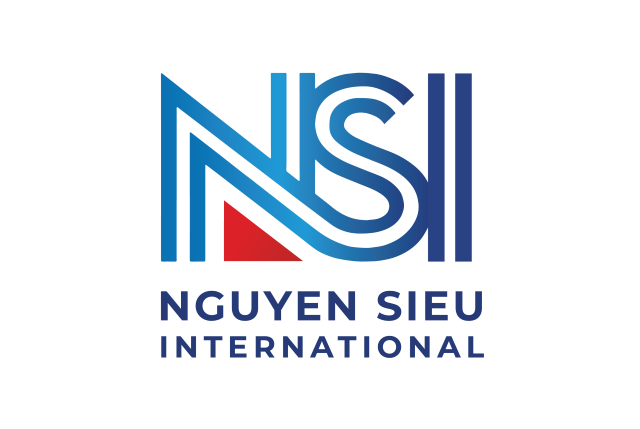 logo-NSI