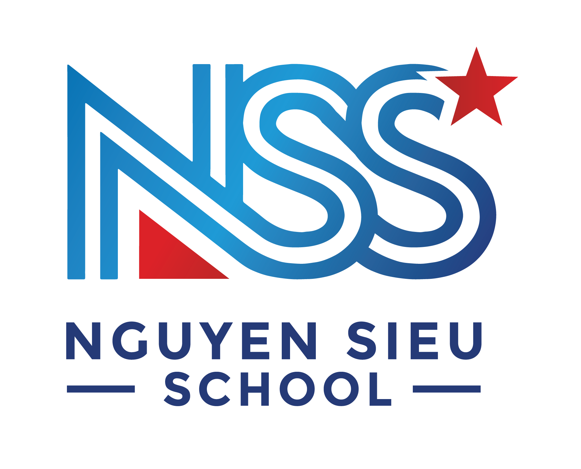 logo-NSS